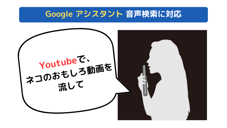 Easy online video search! Supports voice search